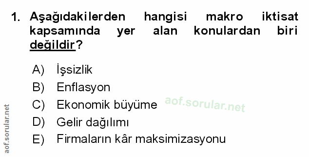 Soru 1
