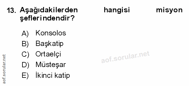 Soru 13