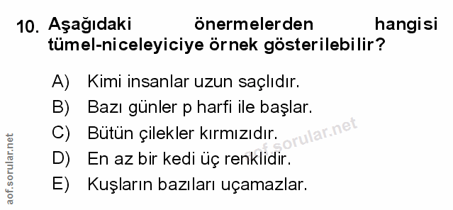 Soru 10
