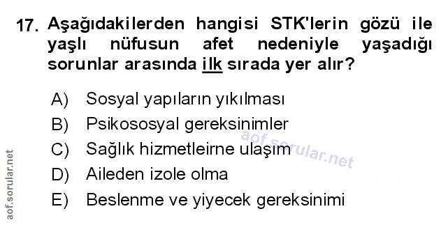 Soru 17