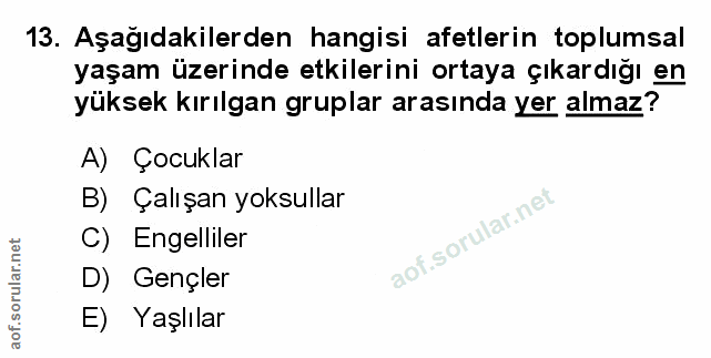 Soru 13