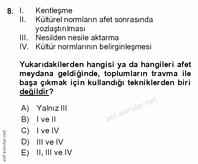Soru 8