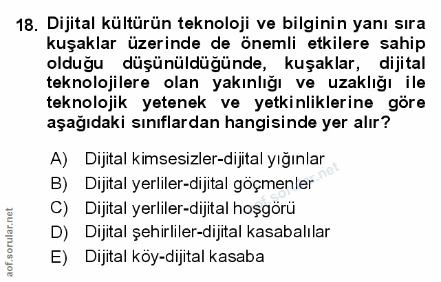 Soru 18