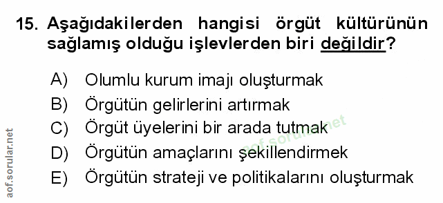 Soru 15