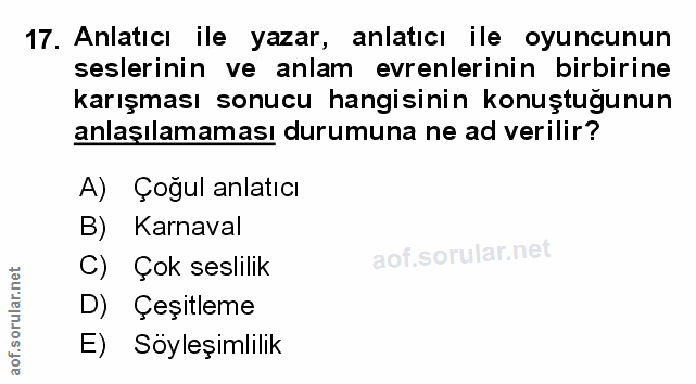 Soru 17