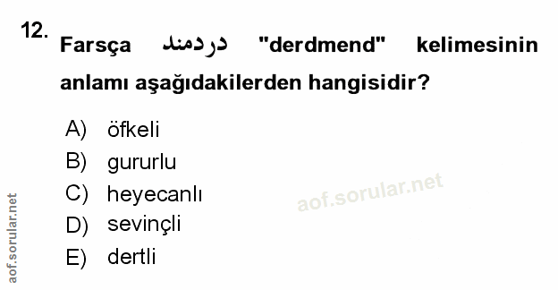 Soru 12