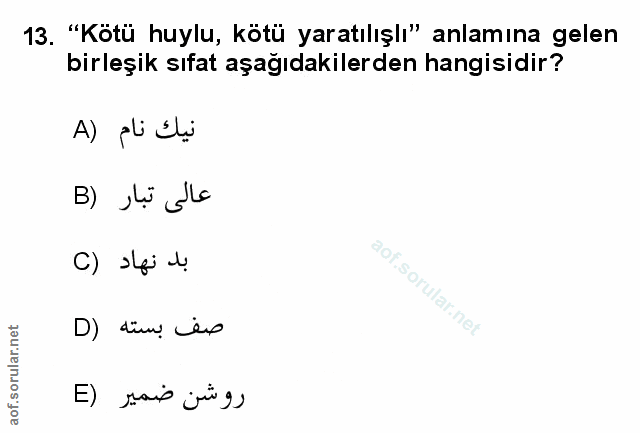 Soru 13