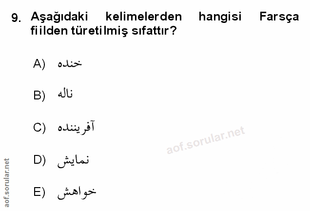 Soru 9