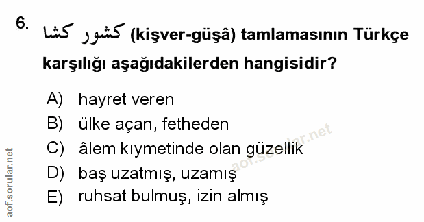 Soru 6