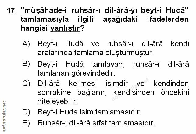 Soru 17