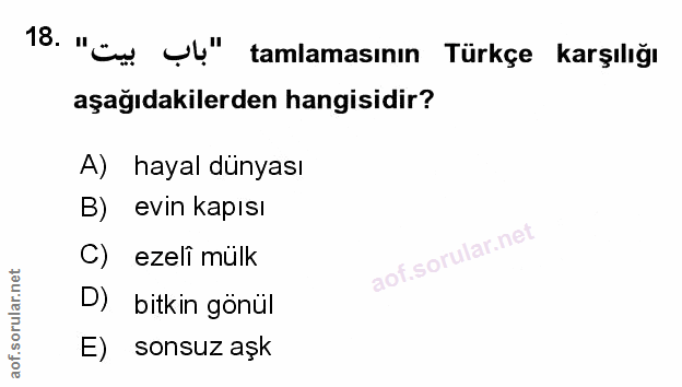 Soru 18
