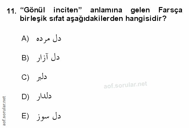 Soru 11