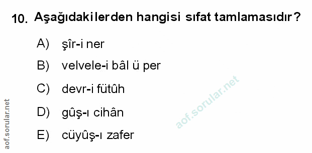 Soru 10