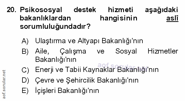 Soru 20
