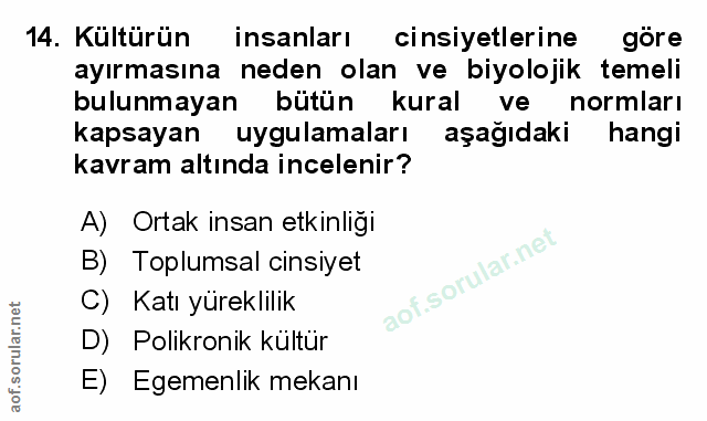 Soru 14