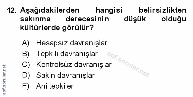 Soru 12