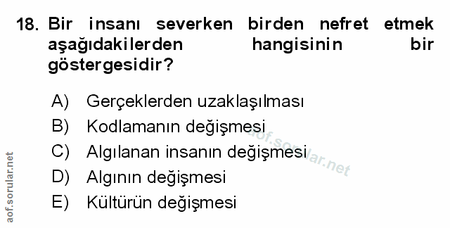 Soru 18