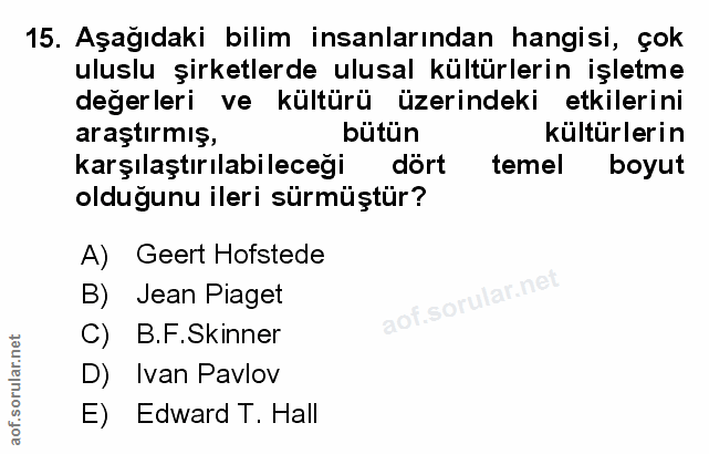 Soru 15
