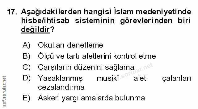 Soru 17