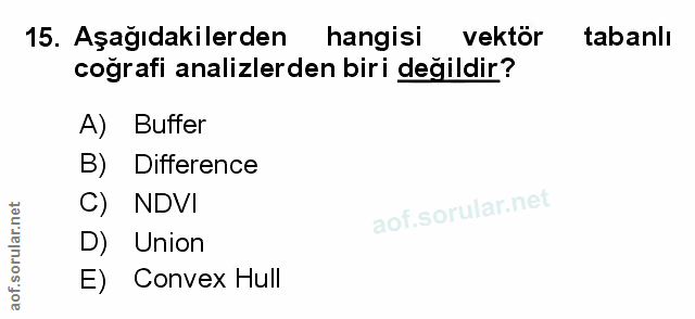 Soru 15