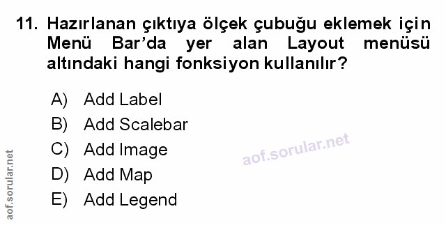 Soru 11