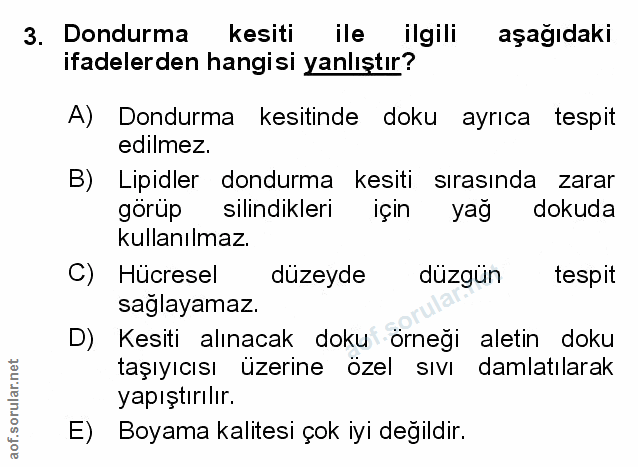Soru 3