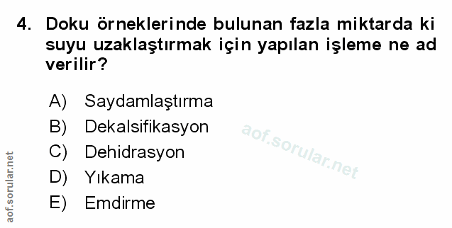 Soru 4