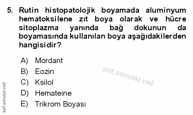 Soru 5