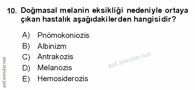 Soru 10