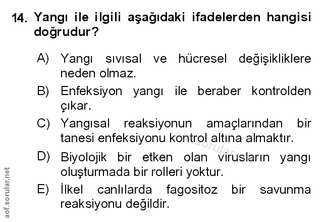 Soru 14
