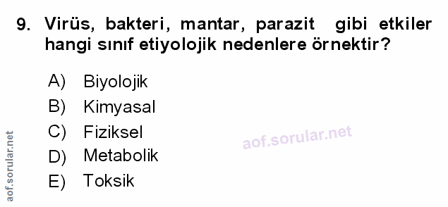 Soru 9