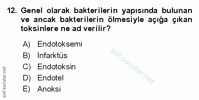Soru 12