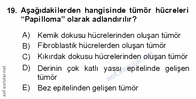 Soru 19