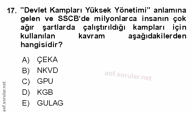 Soru 17