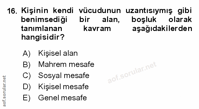 Soru 16