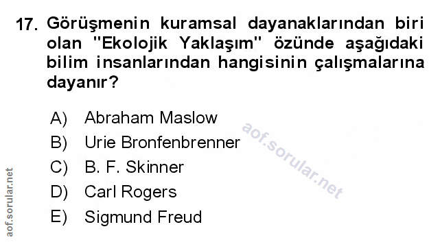 Soru 17