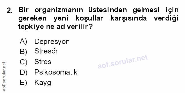 Soru 2