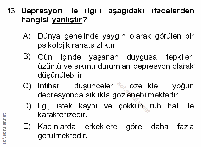 Soru 13