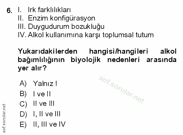 Soru 6