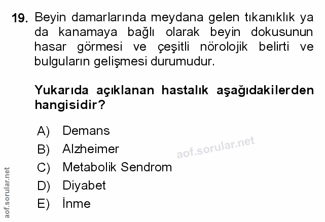 Soru 19