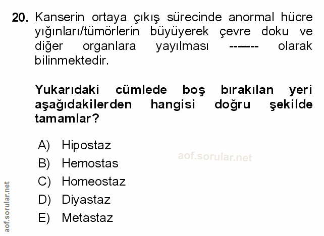 Soru 20