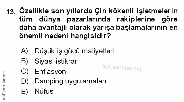 Soru 13