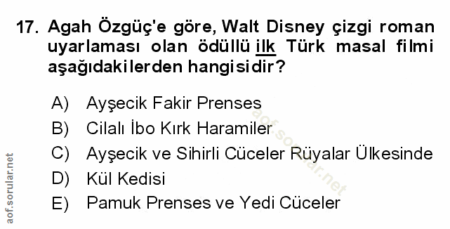 Soru 17