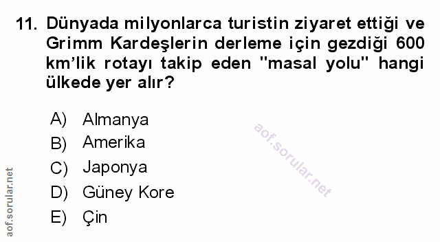 Soru 11