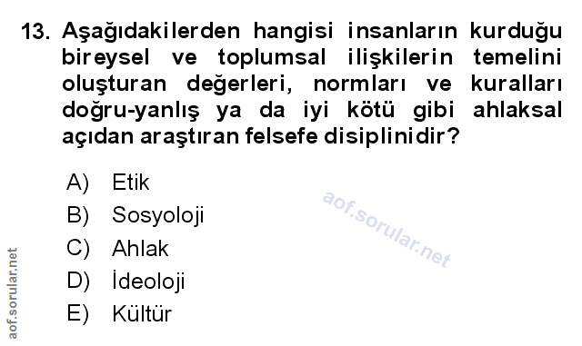 Soru 13