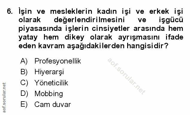 Soru 6
