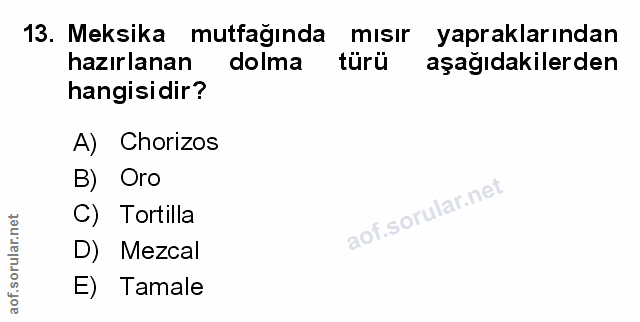 Soru 13