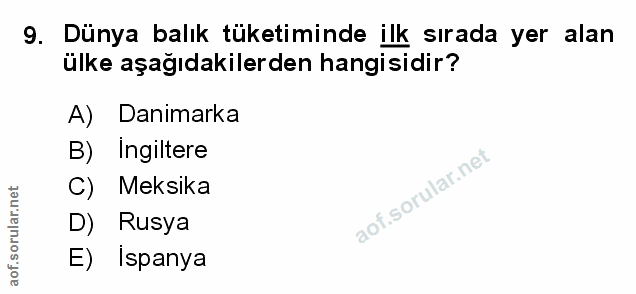 Soru 9