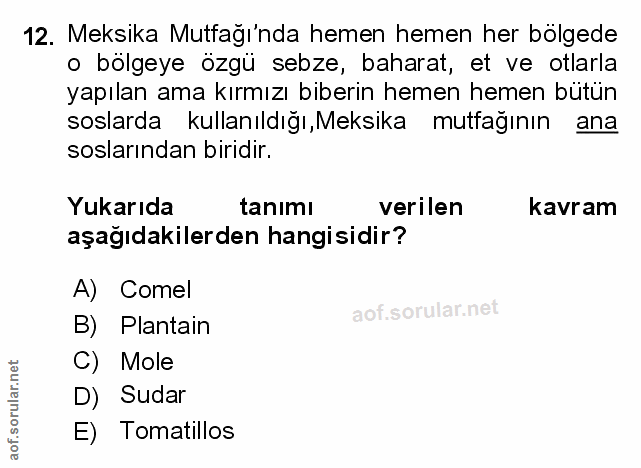 Soru 12