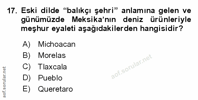 Soru 17